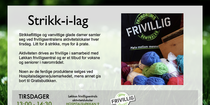 Bilde/illustrasjon for Strikk - i - lag Strikk - i - lag